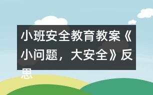 小班安全教育教案《小問題，大安全》反思