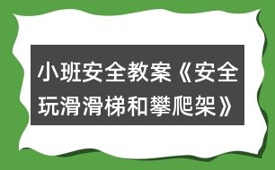 小班安全教案《安全玩滑滑梯和攀爬架》反思