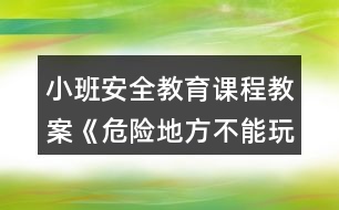 小班安全教育課程教案《危險地方不能玩》反思