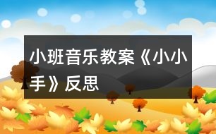 小班音樂教案《小小手》反思