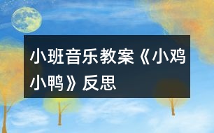 小班音樂教案《小雞小鴨》反思