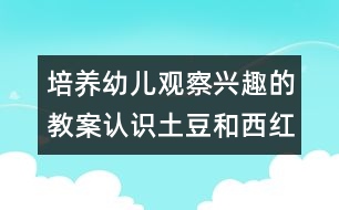 培養(yǎng)幼兒觀察興趣的教案：認(rèn)識土豆和西紅柿