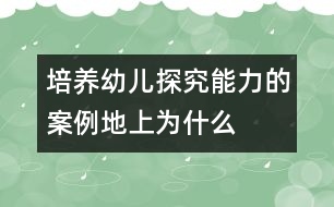 培養(yǎng)幼兒探究能力的案例——地上為什么會冒煙