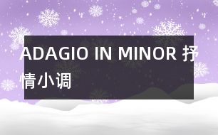 ADAGIO IN MINOR （抒情小調(diào)）