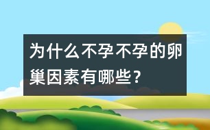 為什么不孕：不孕的卵巢因素有哪些？