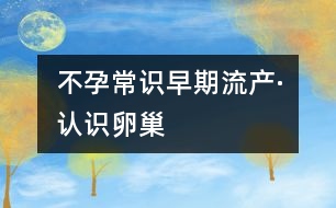 不孕常識：早期流產(chǎn)·認識卵巢