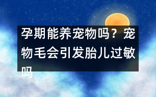 孕期能養(yǎng)寵物嗎？寵物毛會(huì)引發(fā)胎兒過(guò)敏嗎？