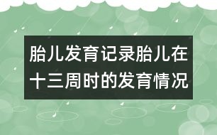 胎兒發(fā)育記錄：胎兒在十三周時(shí)的發(fā)育情況