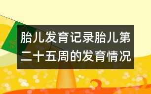 胎兒發(fā)育記錄：胎兒第二十五周的發(fā)育情況