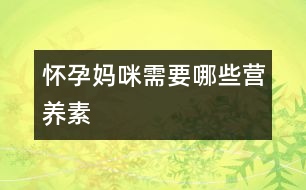 懷孕媽咪需要哪些營(yíng)養(yǎng)素