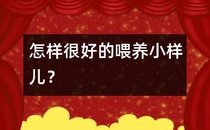 怎樣很好的喂養(yǎng)小樣兒？