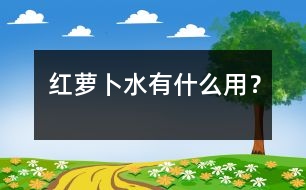 紅蘿卜水有什么用？