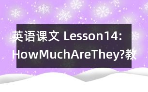 英語課文 Lesson14:HowMuchAreThey?教案 教學資料 教學設計