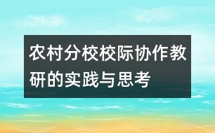 農(nóng)村分校校際協(xié)作教研的實踐與思考