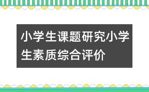 小學(xué)生課題研究：小學(xué)生素質(zhì)綜合評價