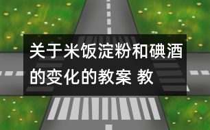 關(guān)于米飯、淀粉和碘酒的變化的教案 教學(xué)設(shè)計(jì)  新教科版六年級(jí)下冊(cè)科學(xué)教案