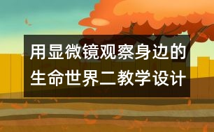 用顯微鏡觀察身邊的生命世界（二）教學(xué)設(shè)計(jì)—新教科版六年級(jí)下冊(cè)科學(xué)教案