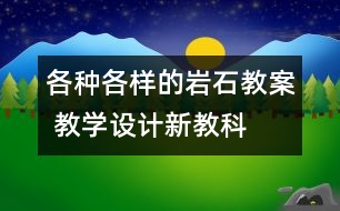 各種各樣的巖石教案 教學(xué)設(shè)計—新教科版四年級下冊科學(xué)教案