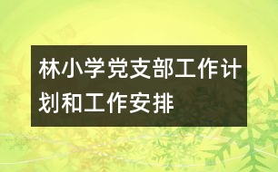 林小學(xué)黨支部工作計(jì)劃和工作安排