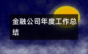 金融公司年度工作總結(jié)