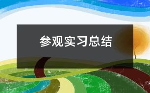 參觀實習(xí)總結(jié)