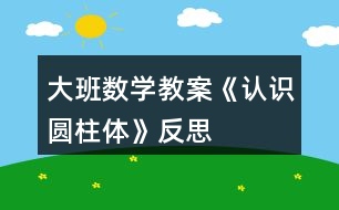 大班數(shù)學(xué)教案《認(rèn)識圓柱體》反思