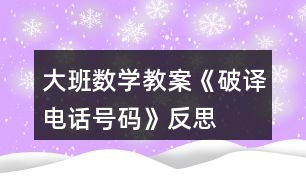 大班數(shù)學(xué)教案《破譯電話號碼》反思