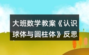 大班數(shù)學(xué)教案《認(rèn)識球體與圓柱體》反思