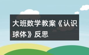 大班數(shù)學(xué)教案《認(rèn)識球體》反思