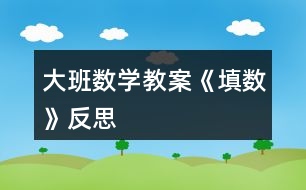 大班數(shù)學(xué)教案《填數(shù)》反思