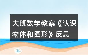 大班數(shù)學教案《認識物體和圖形》反思