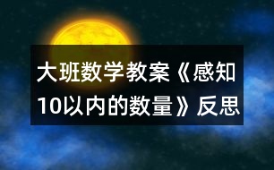 大班數學教案《感知10以內的數量》反思