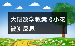 大班數(shù)學(xué)教案《小花被》反思