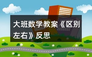 大班數(shù)學(xué)教案《區(qū)別左右》反思