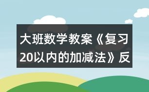 大班數(shù)學(xué)教案《復(fù)習(xí)20以?xún)?nèi)的加減法》反思