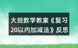 大班數(shù)學(xué)教案《復(fù)習(xí)20以內(nèi)加減法》反思