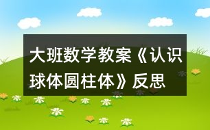 大班數(shù)學教案《認識球體、圓柱體》反思