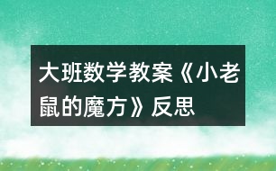 大班數(shù)學教案《小老鼠的魔方》反思