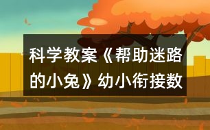 科學教案《幫助迷路的小兔》幼小銜接數(shù)學活動120排序