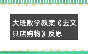 大班數(shù)學(xué)教案《去文具店購物》反思