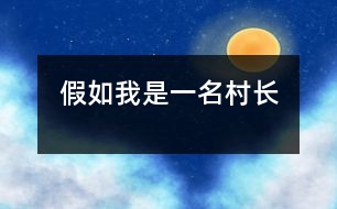 假如我是一名村長(zhǎng)