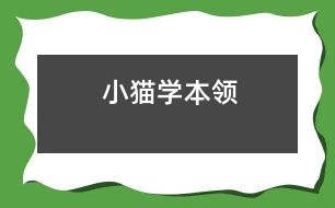 小貓學(xué)本領(lǐng)