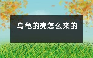 烏龜?shù)臍ぴ趺磥淼?></p>										
													 烏龜?shù)臍ぴ趺磥淼?/p>           江蘇省南京 力學(xué)小學(xué)一（四）班 李盛楠</p>          </p>                  從前，地球上只有一只烏龜，它沒有殼。<br>    有一天，它遇見了一只老虎，老虎想吃掉烏龜，烏龜?shù)纛^就跑，可是已經(jīng)晚了。老虎追上來剛要抓住它，烏龜急忙躲進(jìn)一個殼里，老虎抓住那個殼，咬也咬不動，老虎只能垂頭喪氣地走了。可是，烏龜想出來也出不來了，過了很久，烏龜?shù)臍ぷ冃瘟?。后來，它生的孩子也成這模樣了。<br>    從此以后，烏龜有了一個保護(hù)殼。						</div>
						</div>
					</div>
					<div   id=