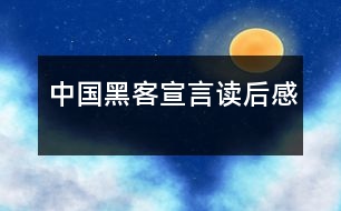 中國黑客宣言讀后感