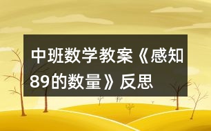 中班數(shù)學教案《感知8、9的數(shù)量》反思