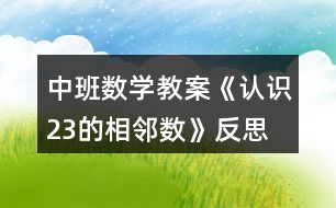 中班數(shù)學教案《認識2、3的相鄰數(shù)》反思