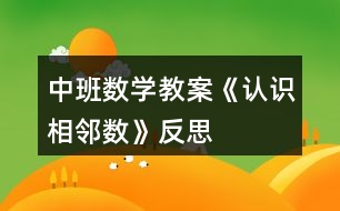 中班數(shù)學教案《認識相鄰數(shù)》反思