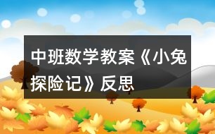 中班數(shù)學(xué)教案《小兔探險記》反思