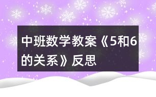 中班數(shù)學教案《5和6的關系》反思