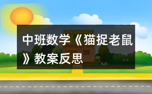 中班數(shù)學《貓捉老鼠》教案反思